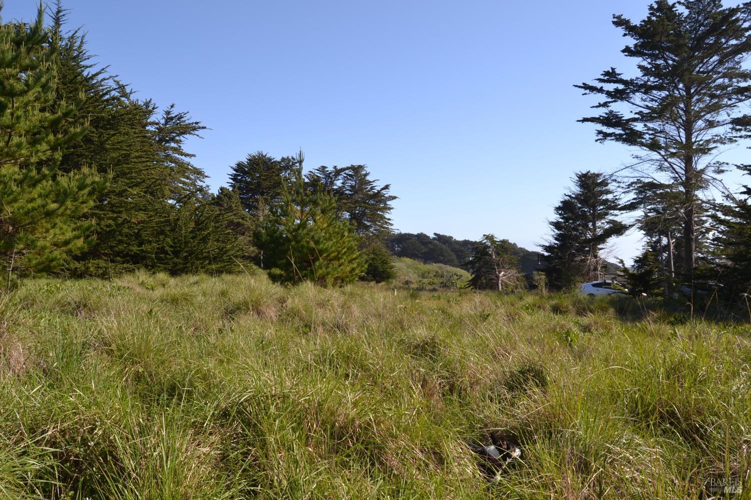 135 Shepherds Close The Sea Ranch CA 95497