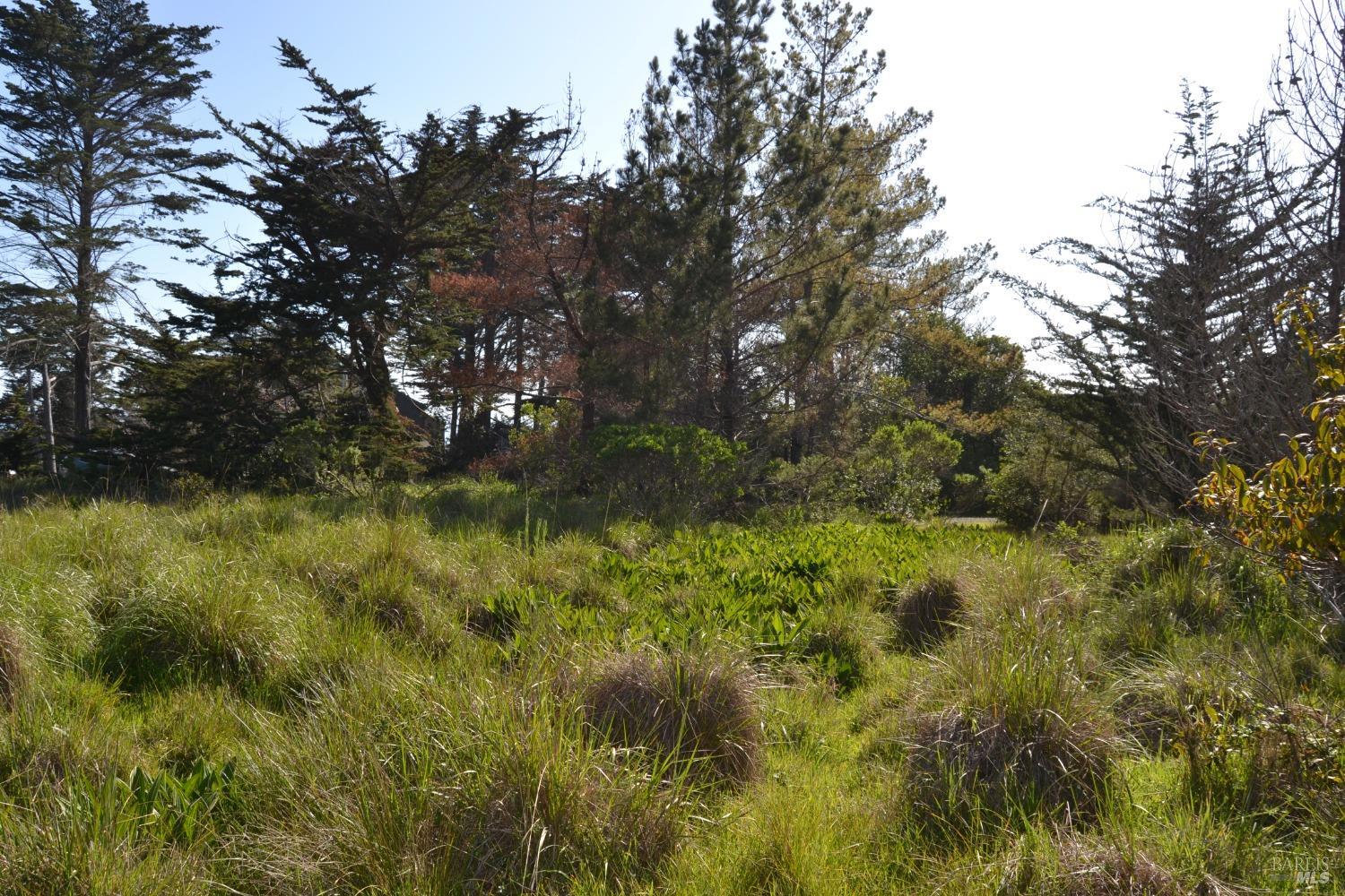 135 Shepherds Close The Sea Ranch CA 95497