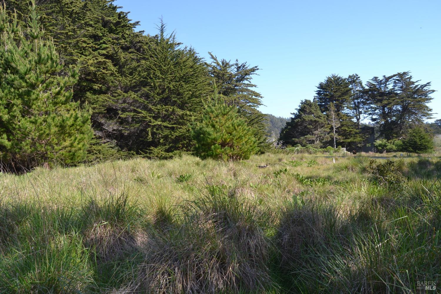 135 Shepherds Close The Sea Ranch CA 95497