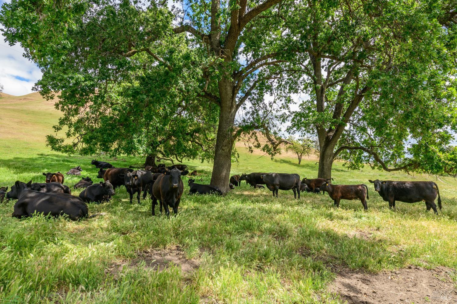 0 Gibson Canyon Road Vacaville CA 95688