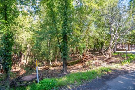 10612 Canyon Road Forestville CA 95436