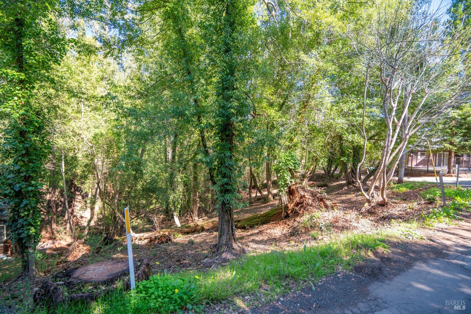 10612 Canyon Road Forestville CA 95436