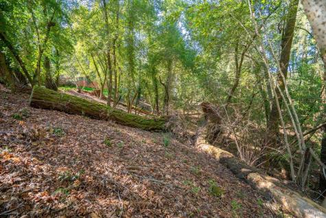 10612 Canyon Road Forestville CA 95436