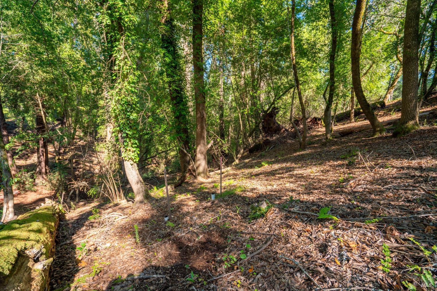 10612 Canyon Road Forestville CA 95436