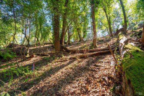 10612 Canyon Road Forestville CA 95436