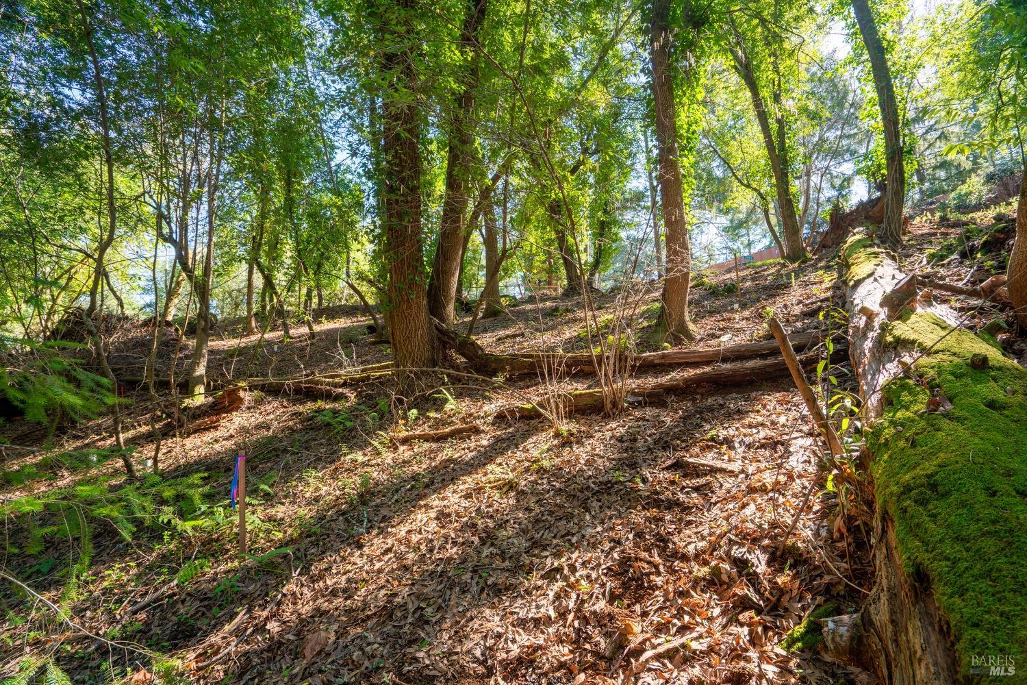 10612 Canyon Road Forestville CA 95436