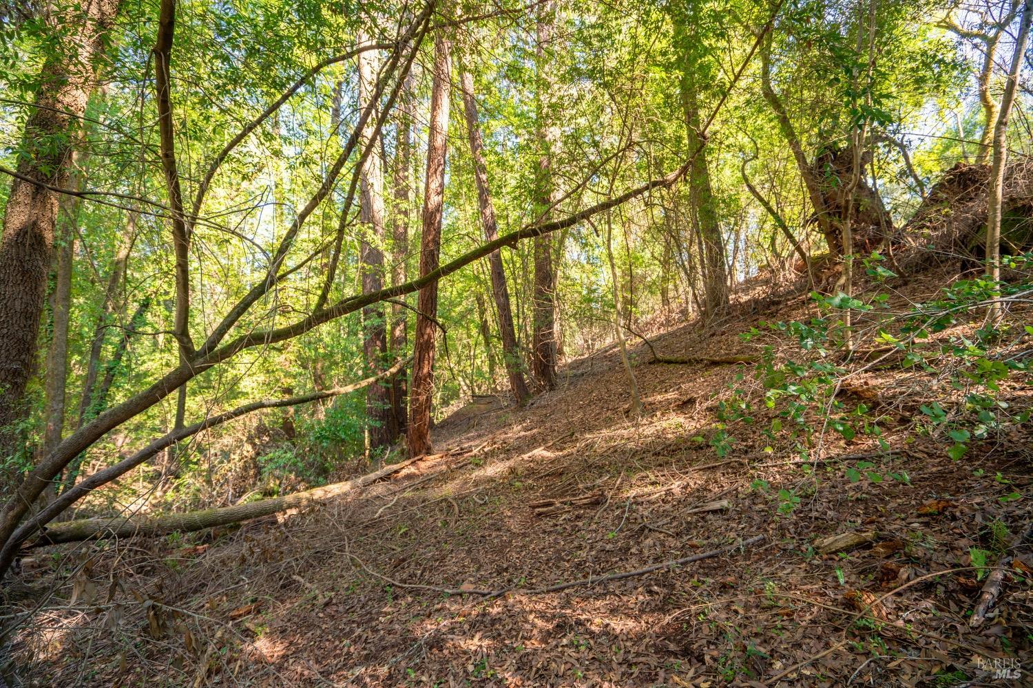 10612 Canyon Road Forestville CA 95436