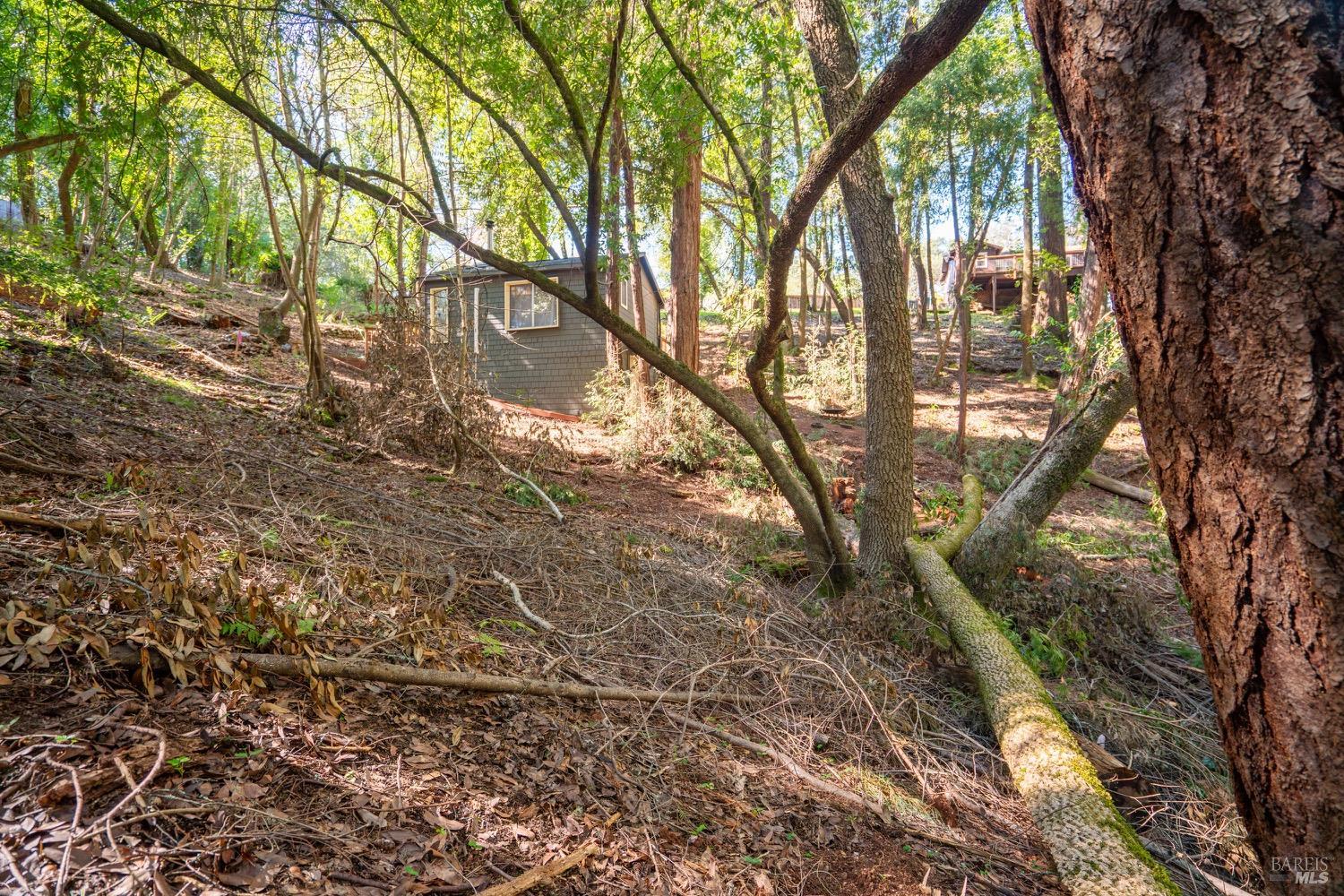 10612 Canyon Road Forestville CA 95436