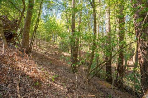 10612 Canyon Road Forestville CA 95436