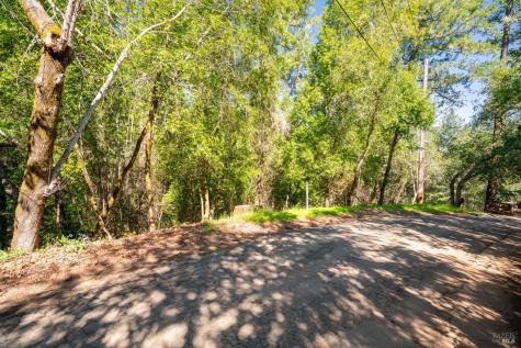 10612 Canyon Road Forestville CA 95436