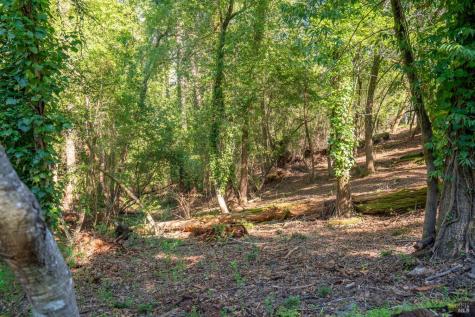 10612 Canyon Road Forestville CA 95436