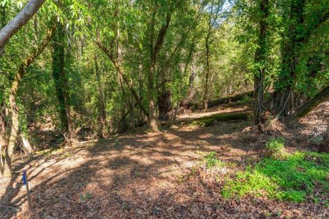 10612 Canyon Road Forestville CA 95436