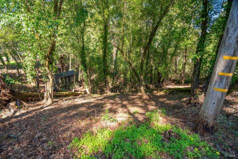 10612 Canyon Road Forestville CA 95436