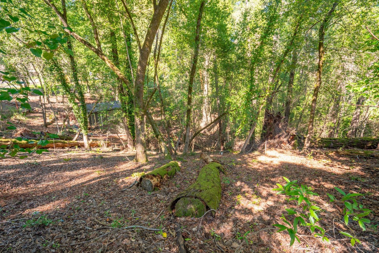 10612 Canyon Road Forestville CA 95436
