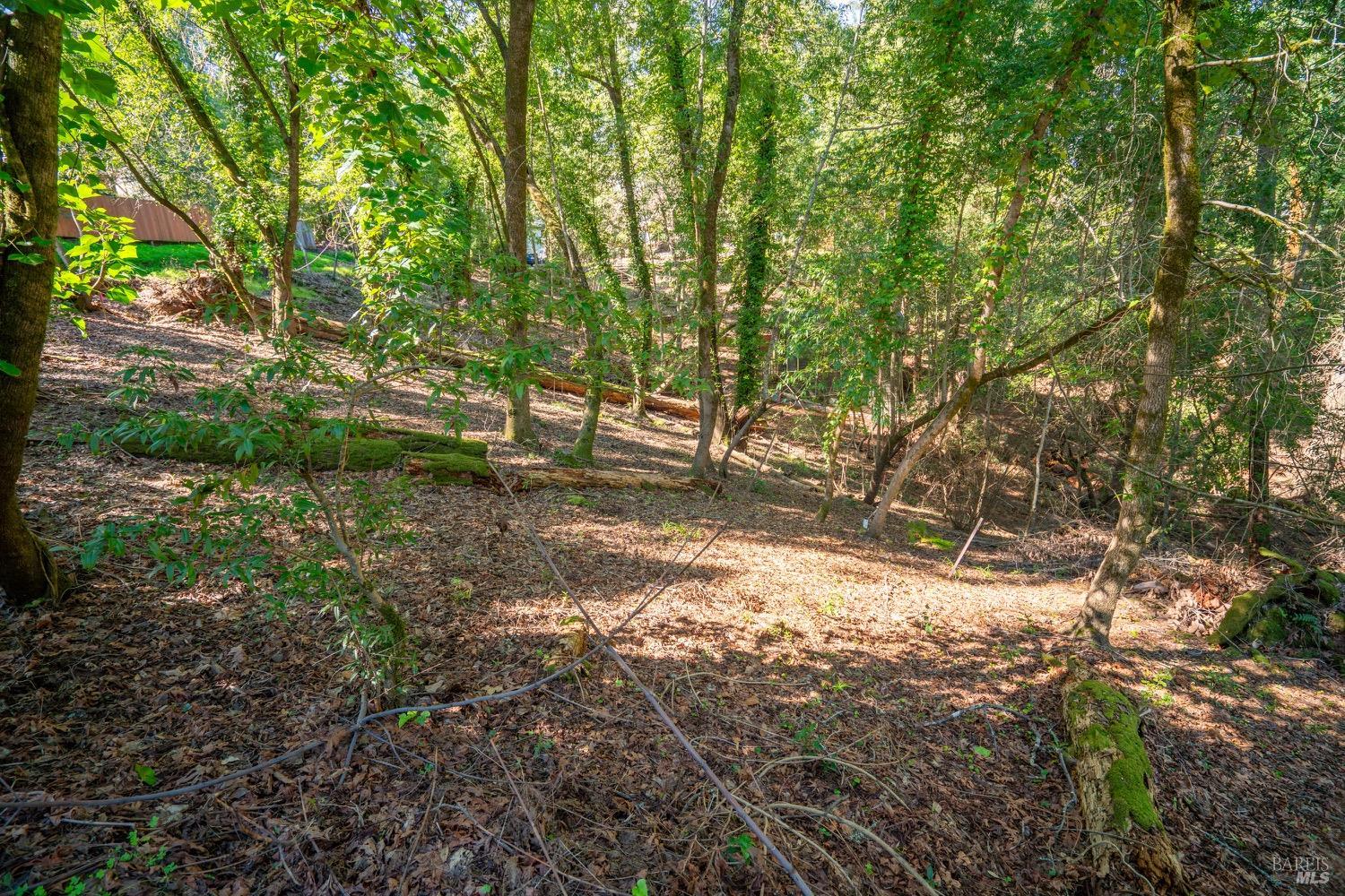 10612 Canyon Road Forestville CA 95436
