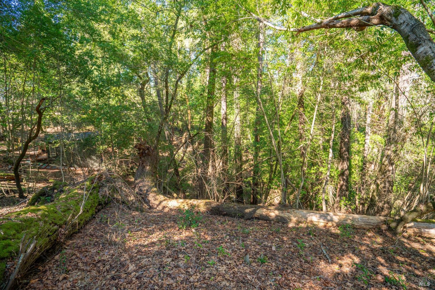 10612 Canyon Road Forestville CA 95436