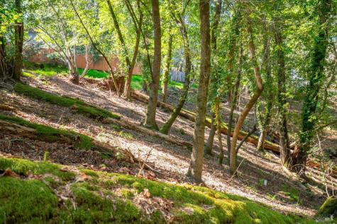 10612 Canyon Road Forestville CA 95436