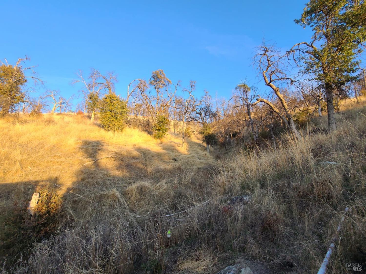 27180 Mendocino Pass Road Covelo CA 95428