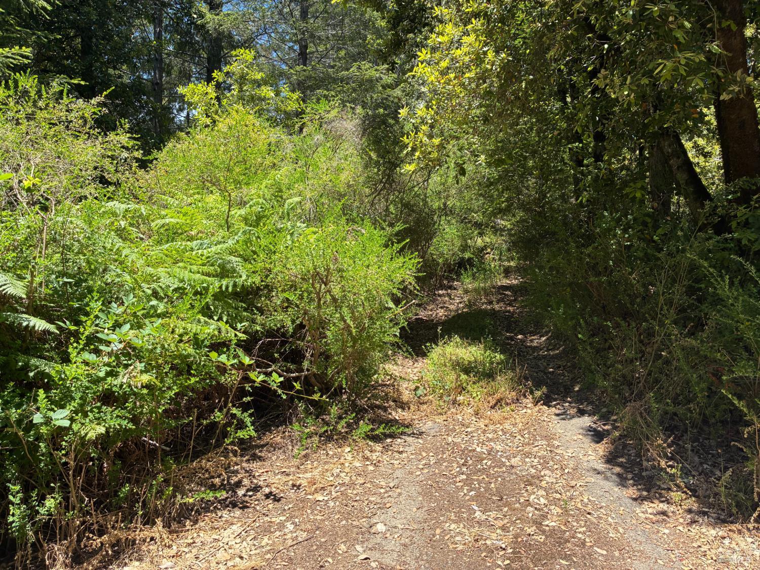 30 Sunrise Mountain Cazadero CA 95421
