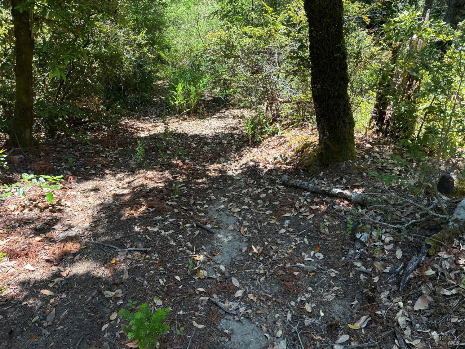 30 Sunrise Mountain Cazadero CA 95421
