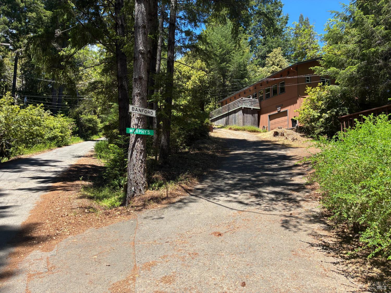 30 Sunrise Mountain Cazadero CA 95421