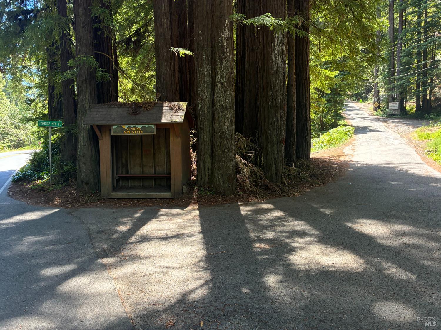 30 Sunrise Mountain Cazadero CA 95421