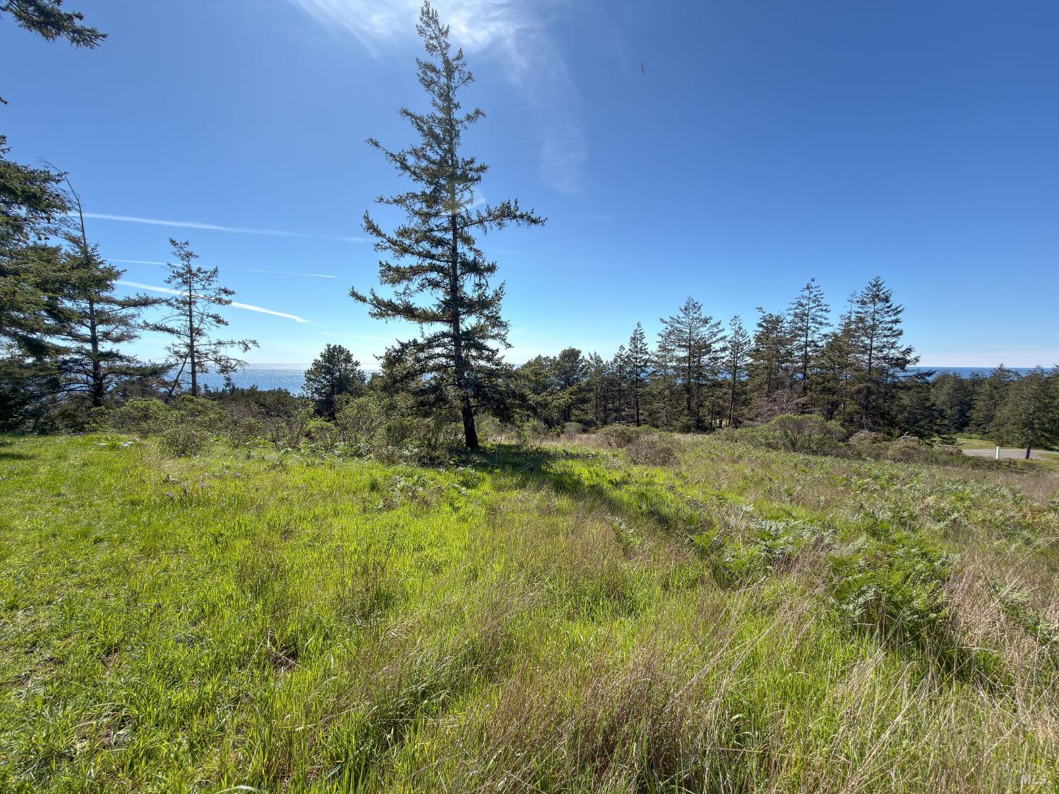 100 Lupine Close The Sea Ranch CA 95497