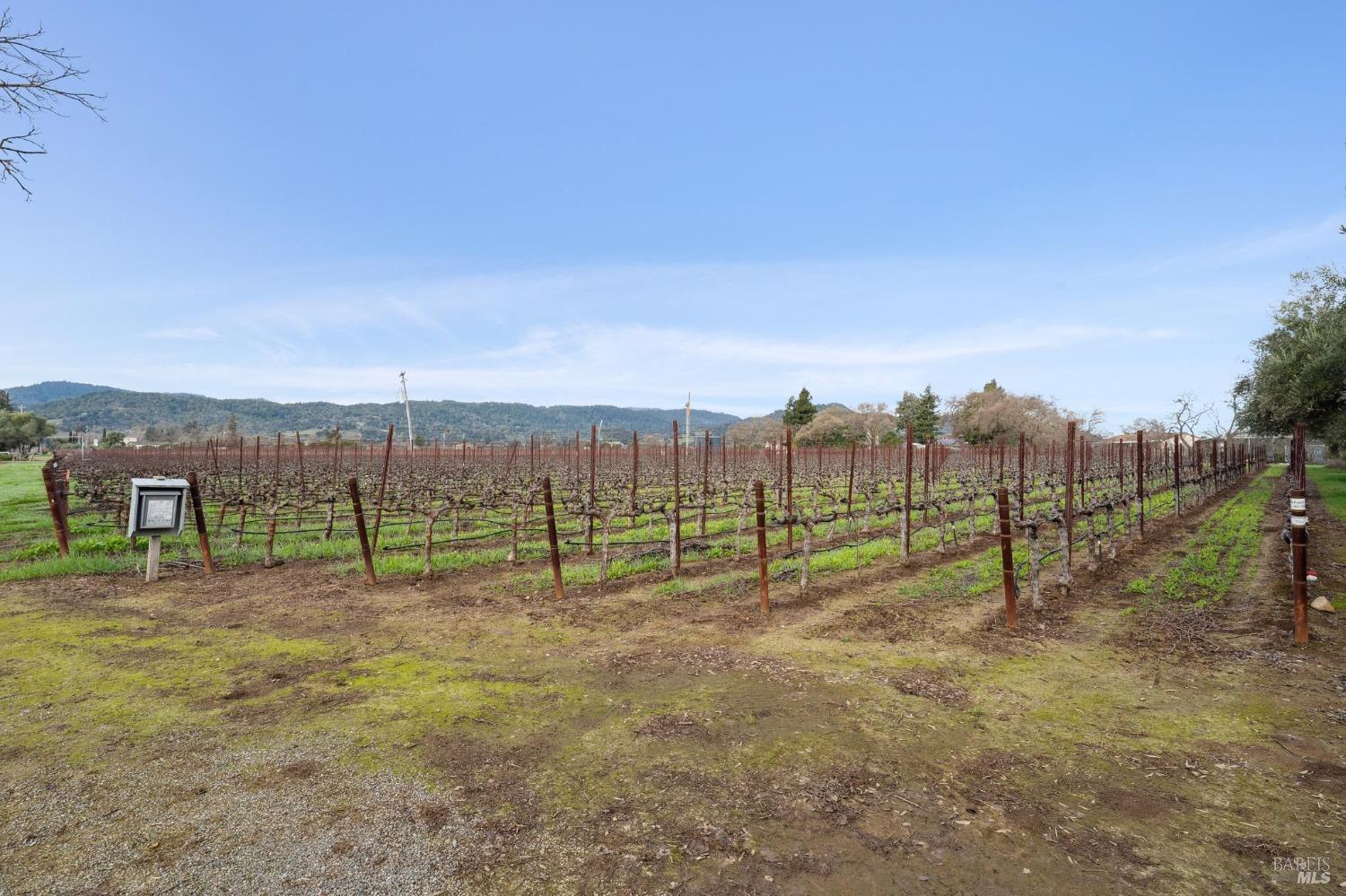 1076 Orchard Avenue Napa CA 94558
