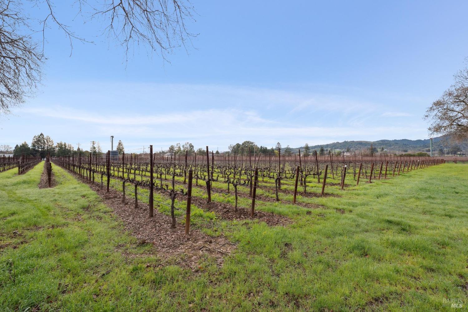 1076 Orchard Avenue Napa CA 94558