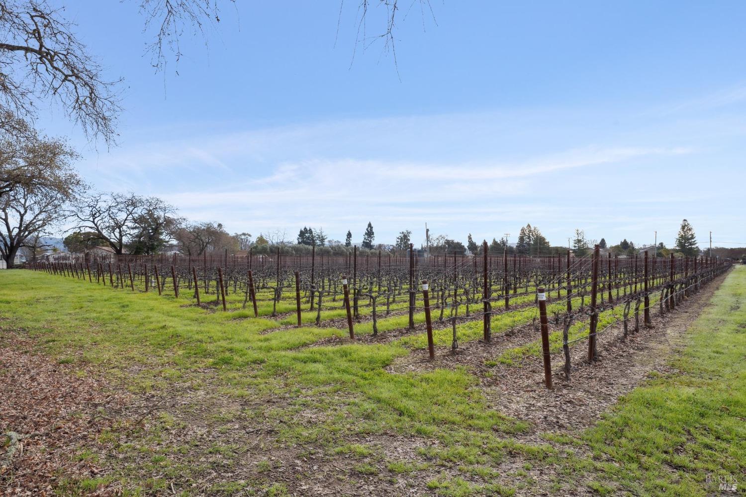 1076 Orchard Avenue Napa CA 94558