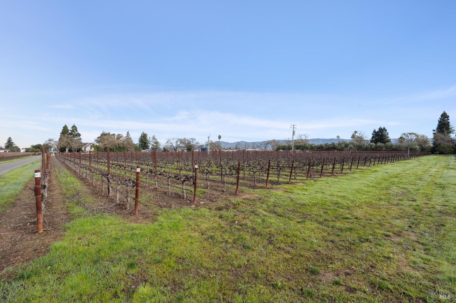 1076 Orchard Avenue Napa CA 94558