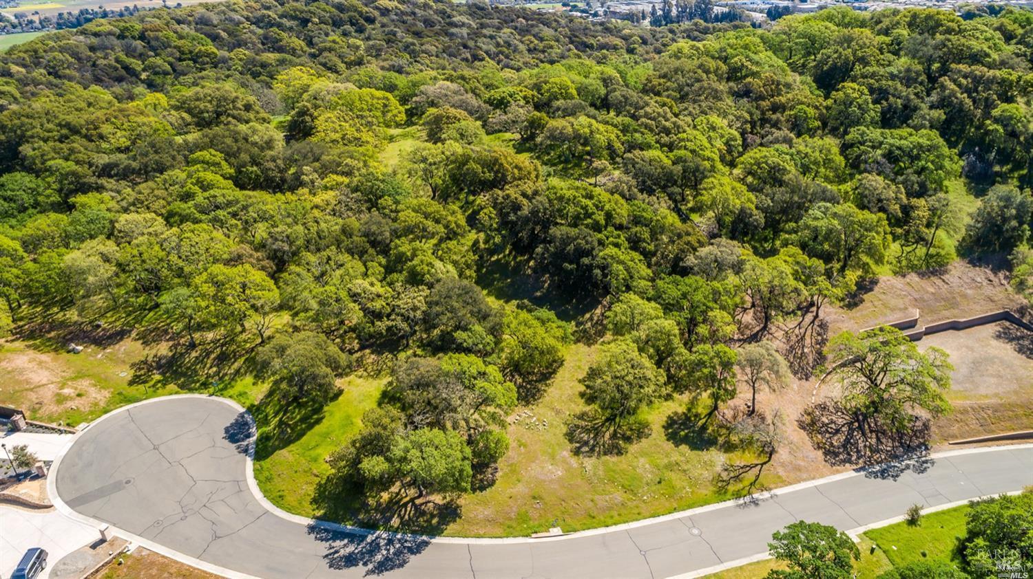 746 Bridle Ridge Court Fairfield CA 94534