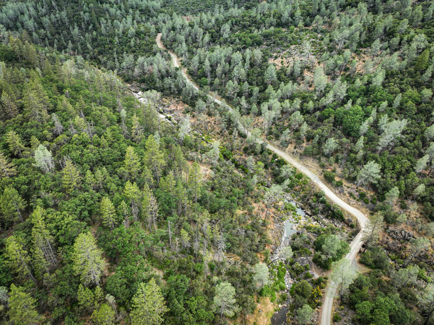 1271 Swedes Flat Road Oroville CA 95966