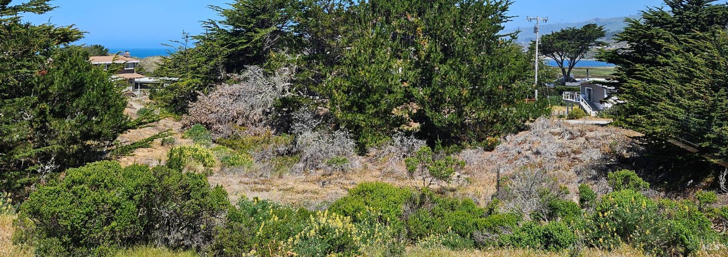 280 Driftwood Avenue Bodega Bay CA 94923