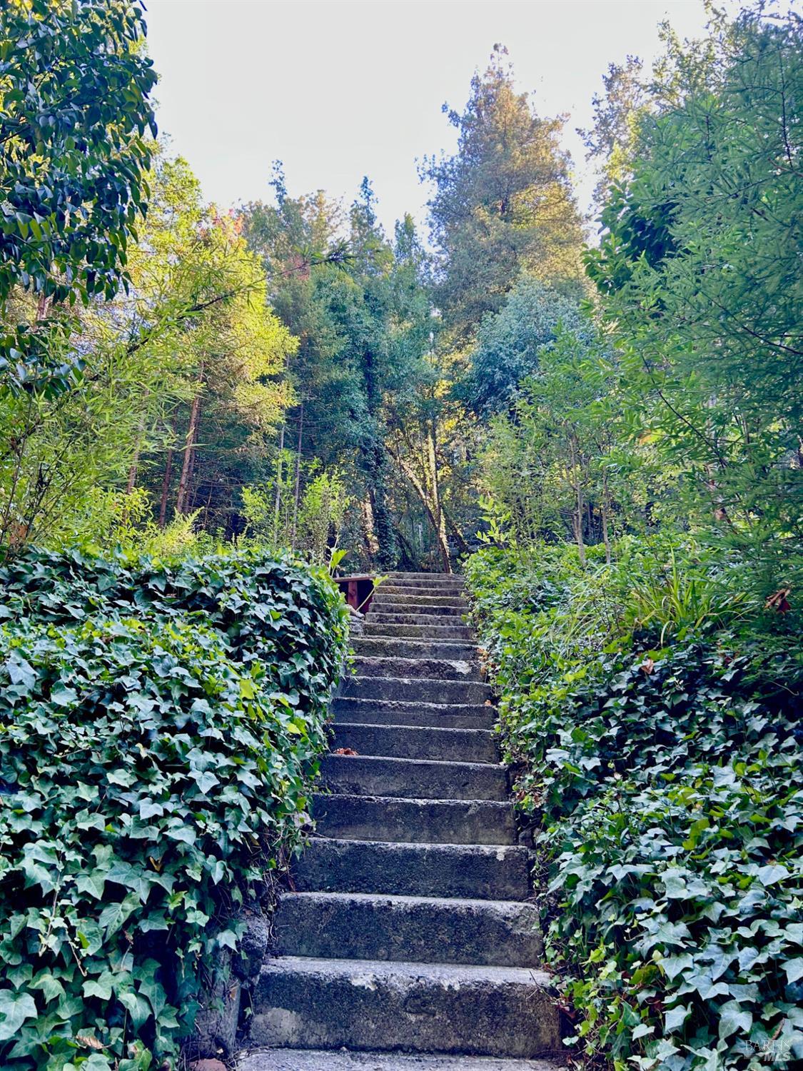 18090 Highway 116 Highway Guerneville CA 95446