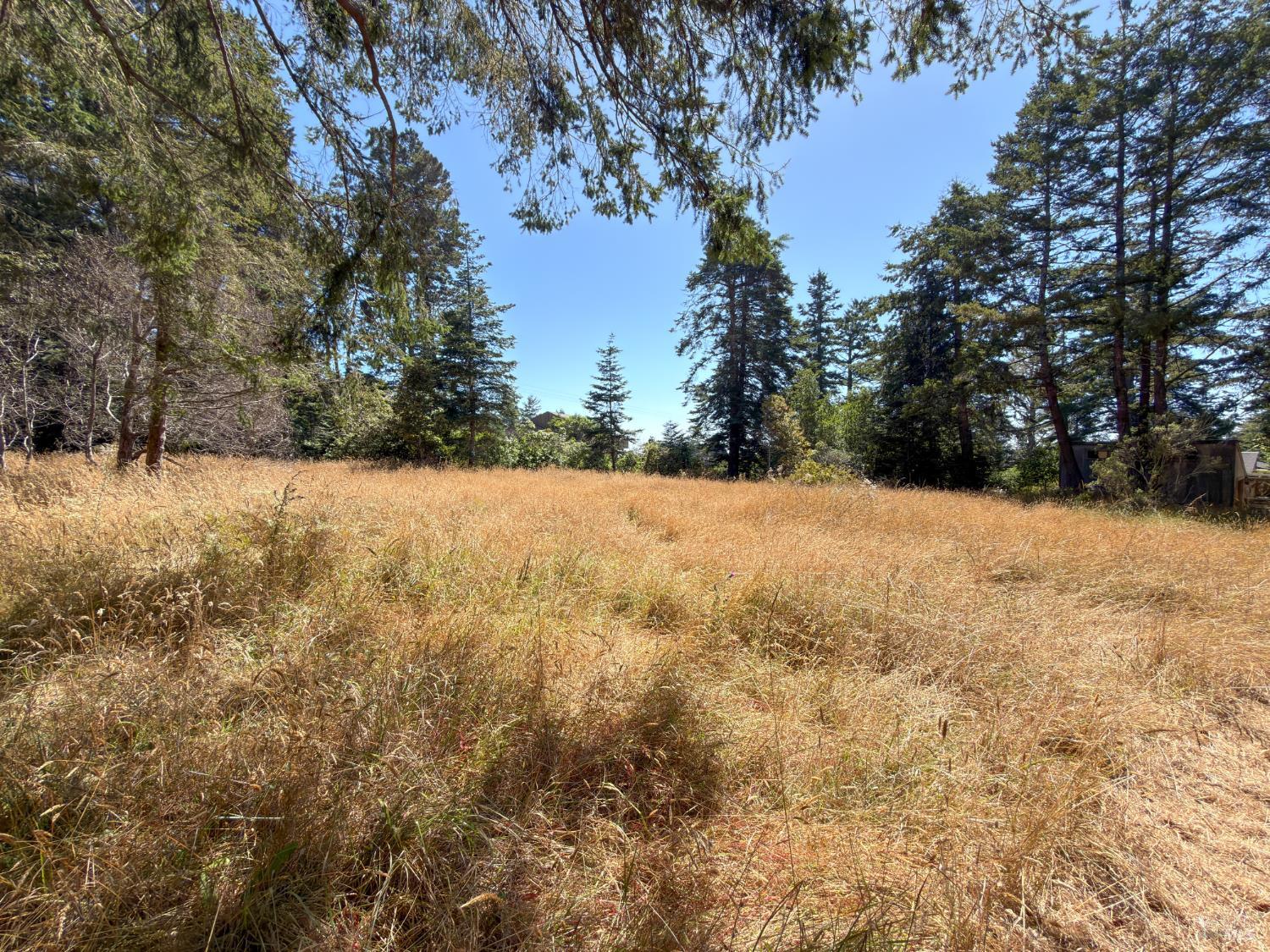 35515 Timber Ridge Road The Sea Ranch CA 95497