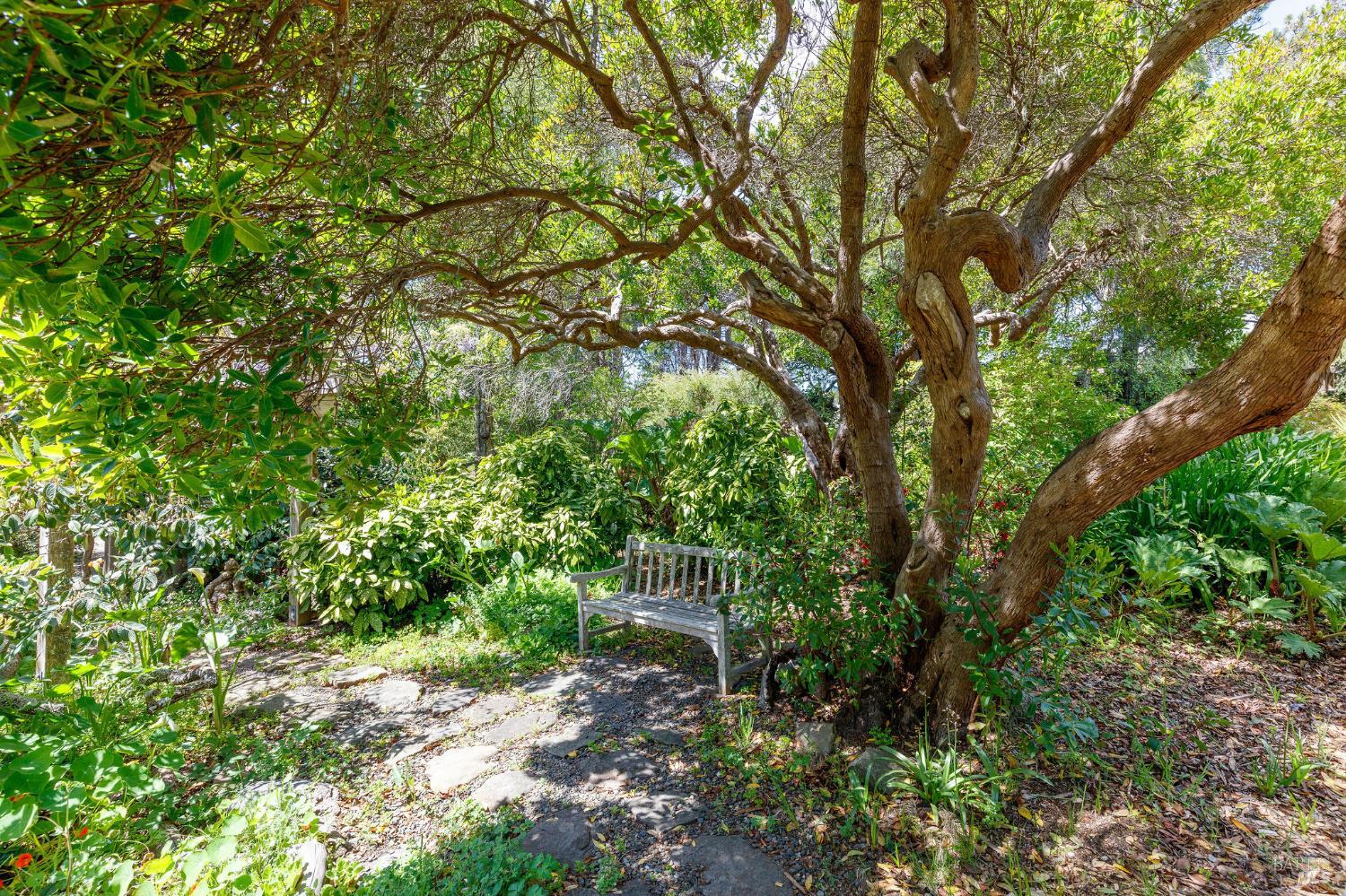 35515 Timber Ridge Road The Sea Ranch CA 95497