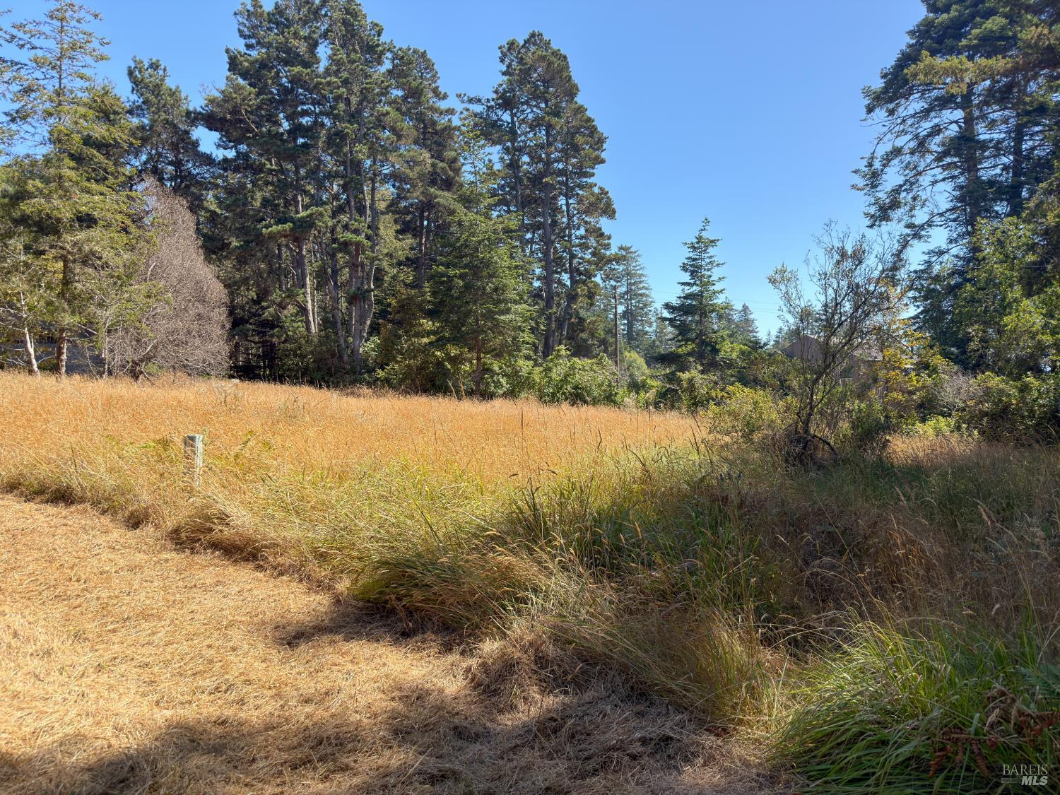 35515 Timber Ridge Road The Sea Ranch CA 95497