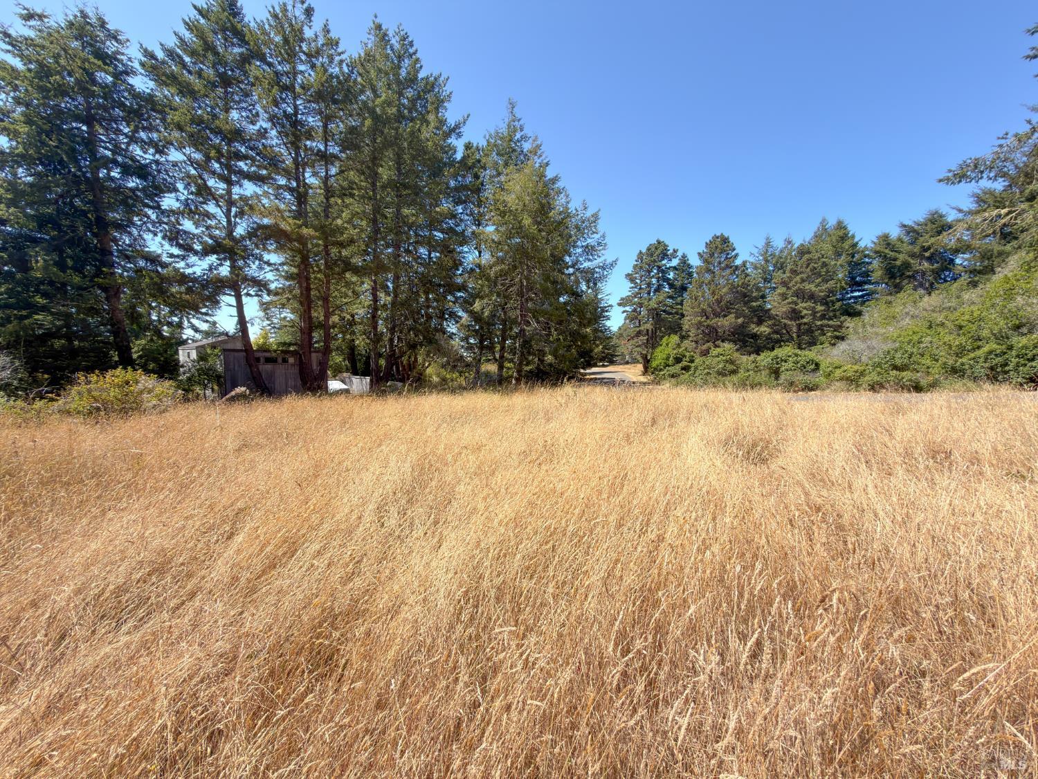 35515 Timber Ridge Road The Sea Ranch CA 95497