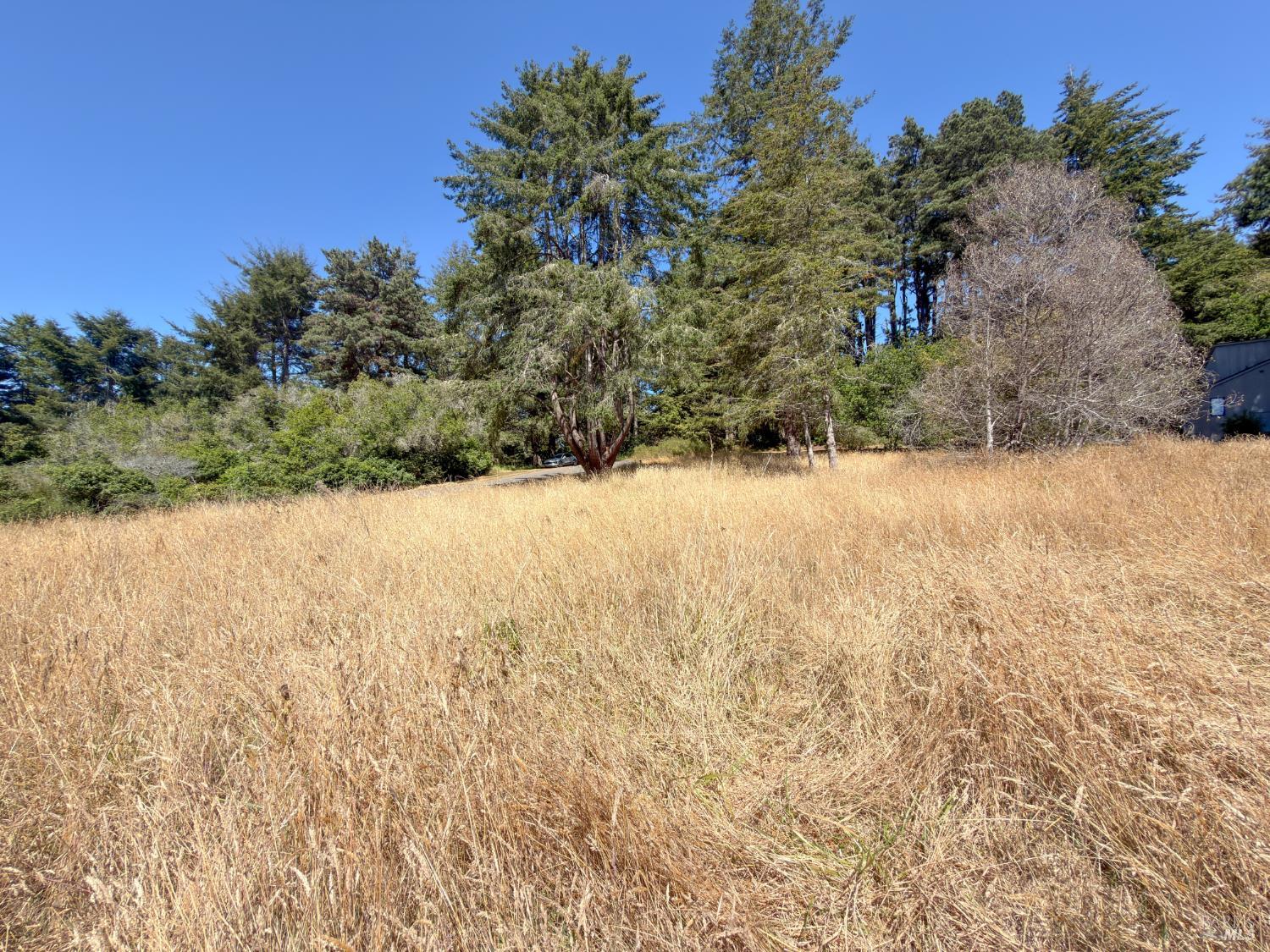 35515 Timber Ridge Road The Sea Ranch CA 95497