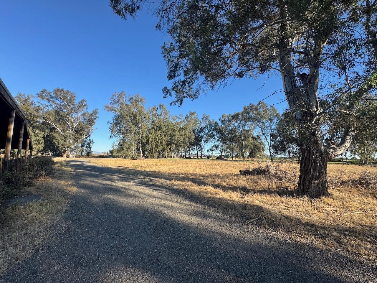 21000 County Road 95 Woodland CA 95695