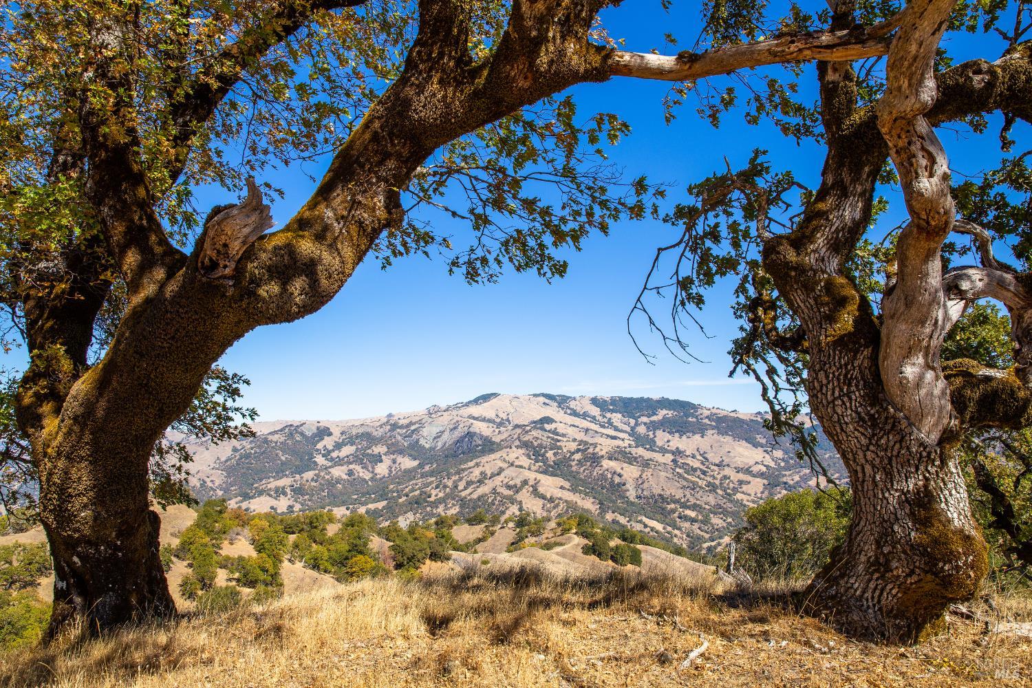 7721 Simmerly Ranch Road Laytonville CA 95454