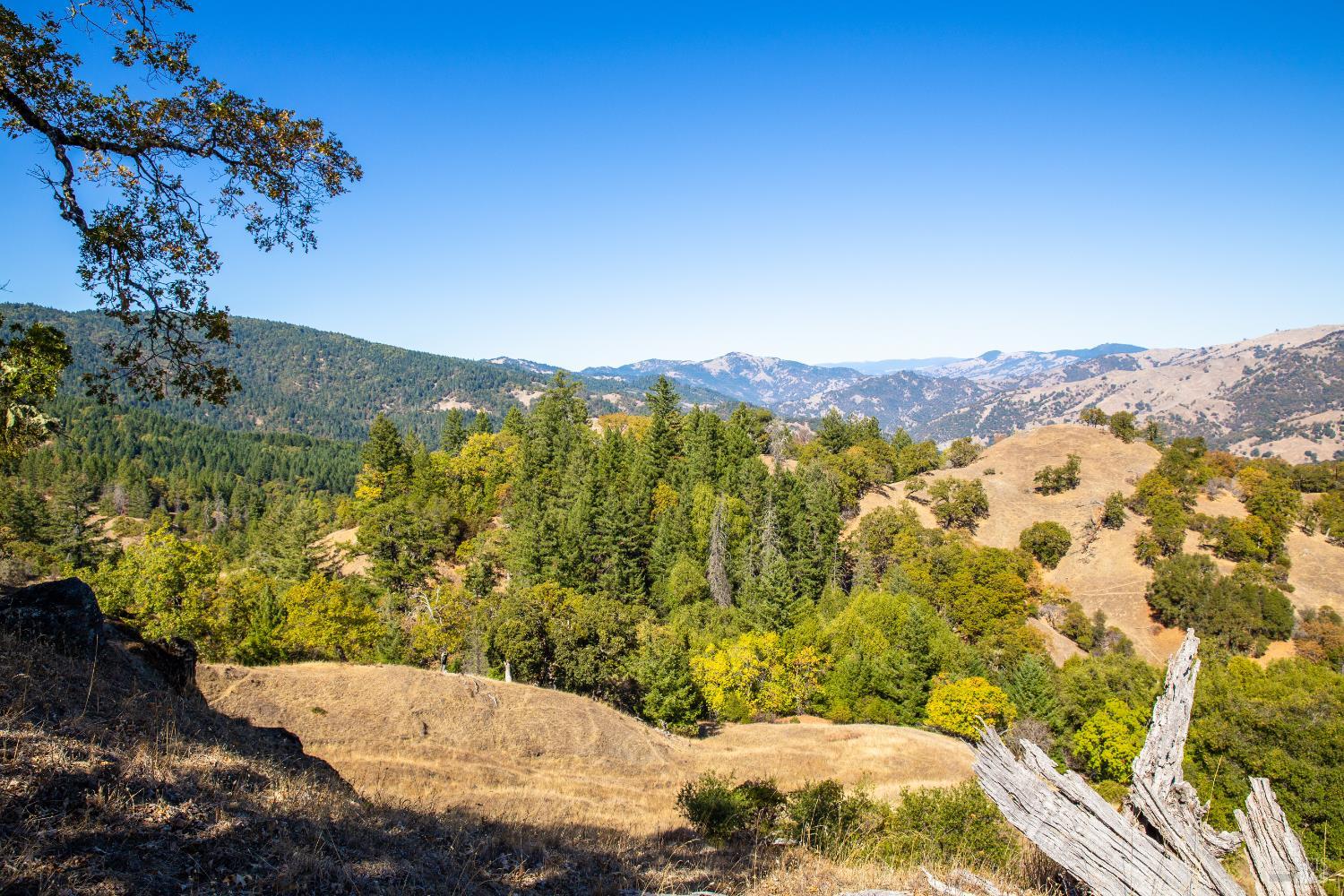 7721 Simmerly Ranch Road Laytonville CA 95454