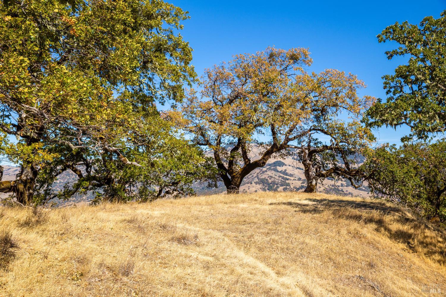 7721 Simmerly Ranch Road Laytonville CA 95454