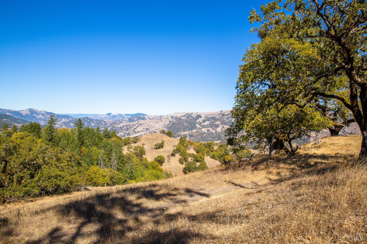 7721 Simmerly Ranch Road Laytonville CA 95454