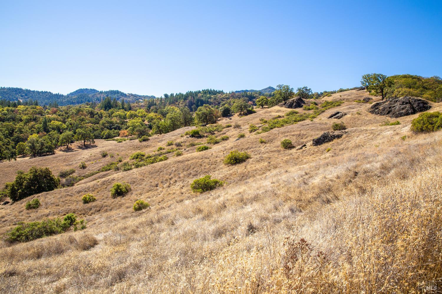 7721 Simmerly Ranch Road Laytonville CA 95454