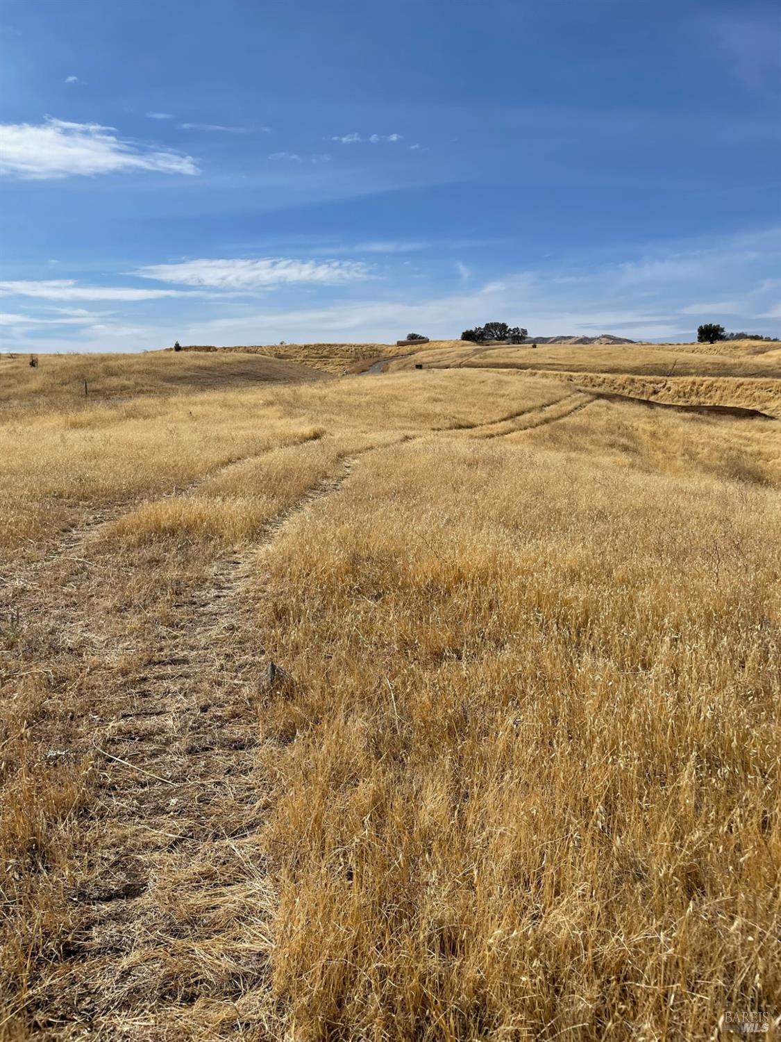 0 Central Lane Winters CA 95616