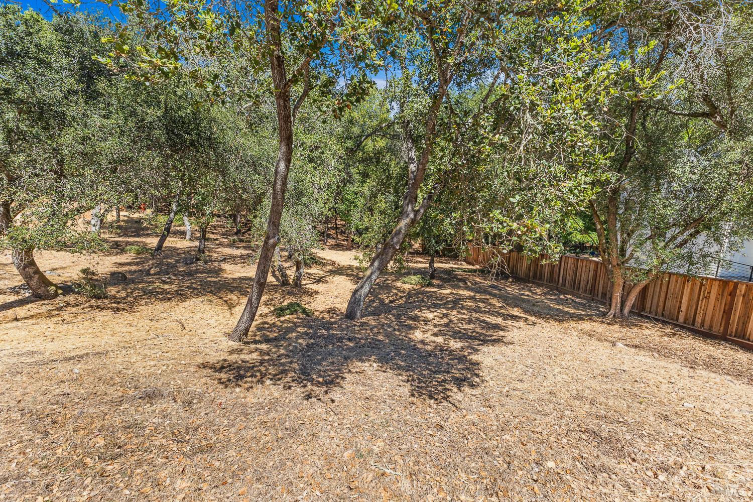796 Los Olivos Road Santa Rosa CA 95404