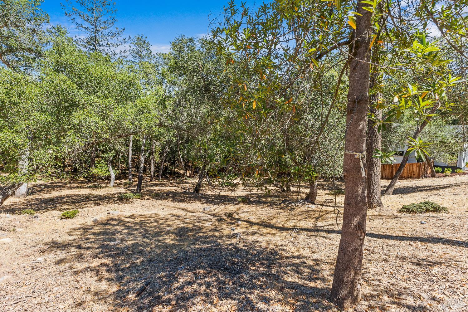 796 Los Olivos Road Santa Rosa CA 95404