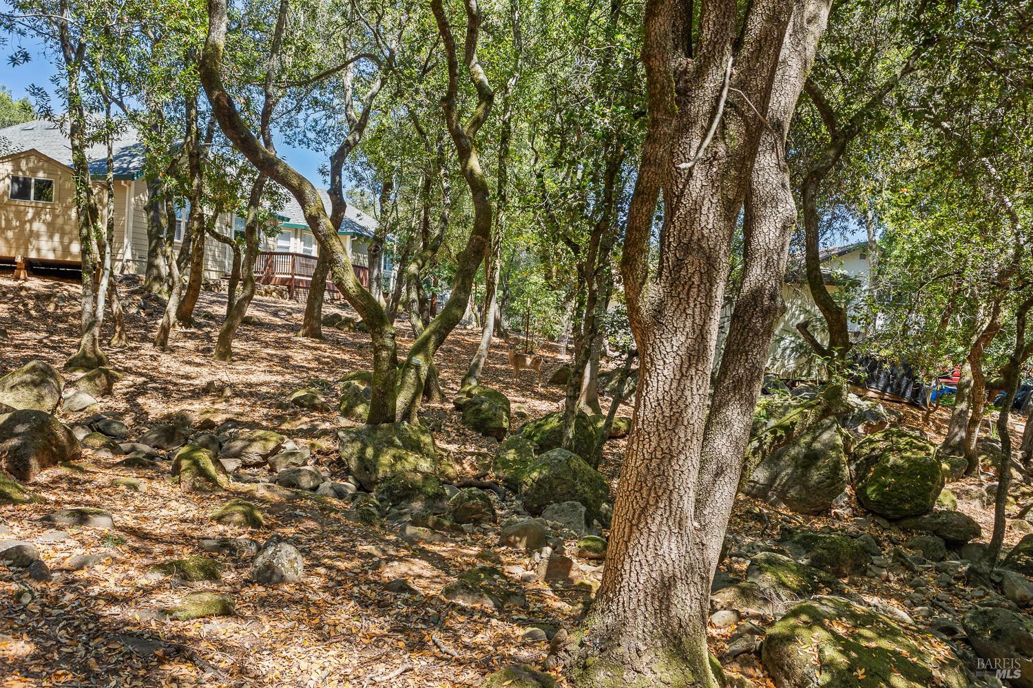 796 Los Olivos Road Santa Rosa CA 95404